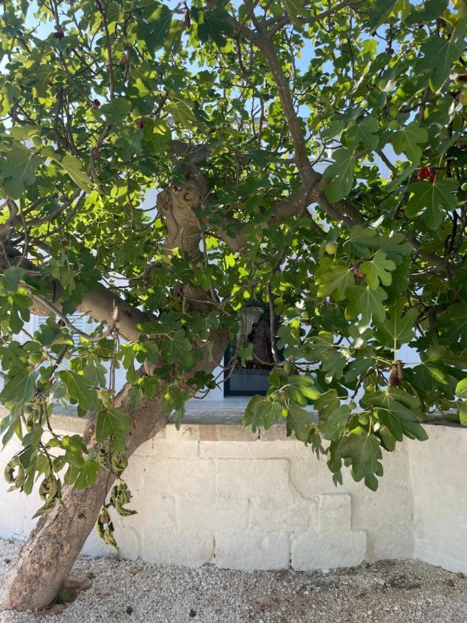 I Tre Coni By Acqua Di Puglia Locorotondo Exterior foto